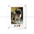 Customise your photo - Acrylic Photo Magnet - The Dreamy Panda