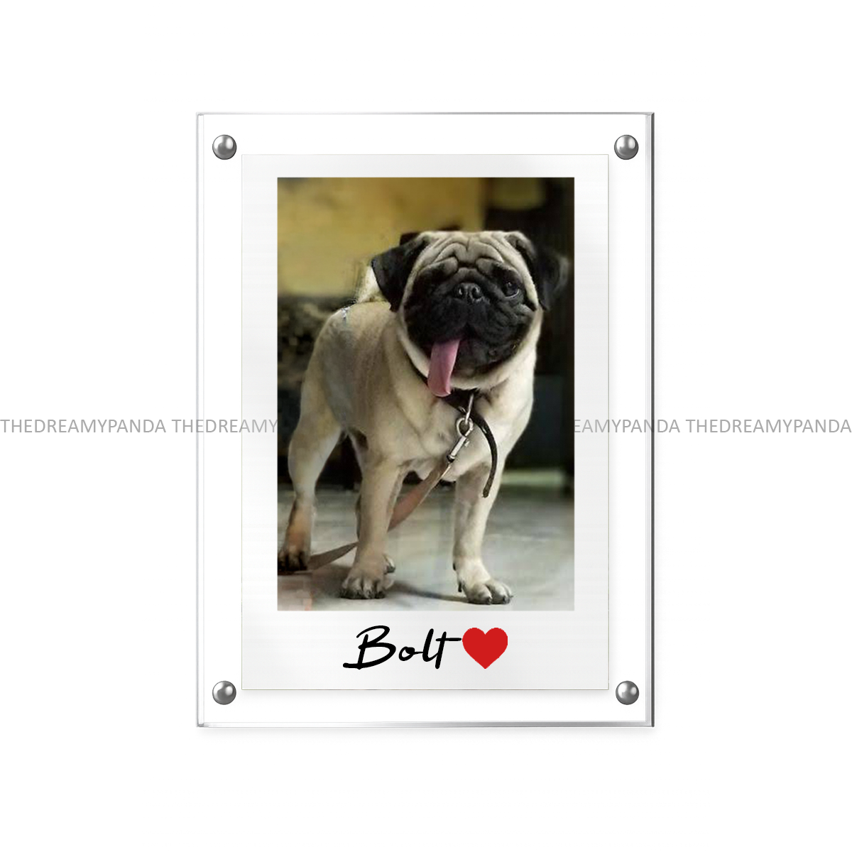 Customise your photo - Acrylic Photo Magnet - The Dreamy Panda